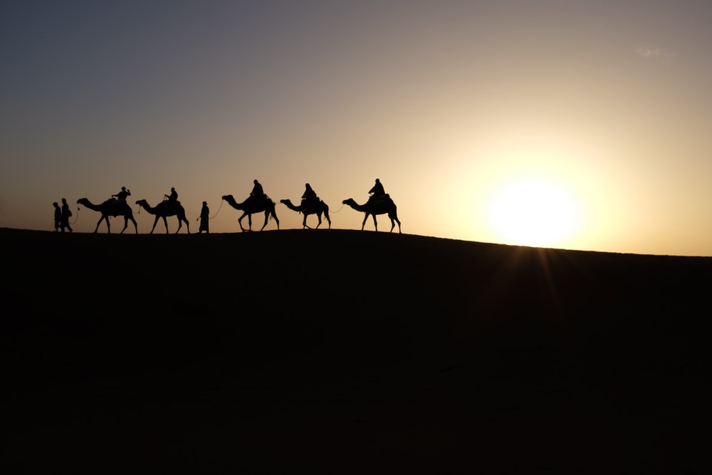 Transferência de Marrakech